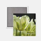 Witte & Groene Uitgebreide Tulpen DSC0856 Magneet (Voorkant / Achterkant)