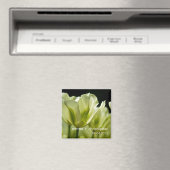 Witte & Groene Uitgebreide Tulpen DSC0856 Magneet (Insitu (Vaatwasser))