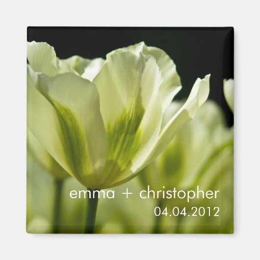 Witte & Groene Uitgebreide Tulpen DSC0856 Magneet (Voorkant)