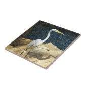 Witte grot bij het strand tegeltje (Zijkant)