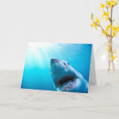 Witte haai| Zuid-Afrika Kaart (Gele Bloem)