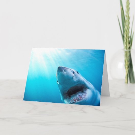 Witte haai| Zuid-Afrika Kaart (Voorkant)