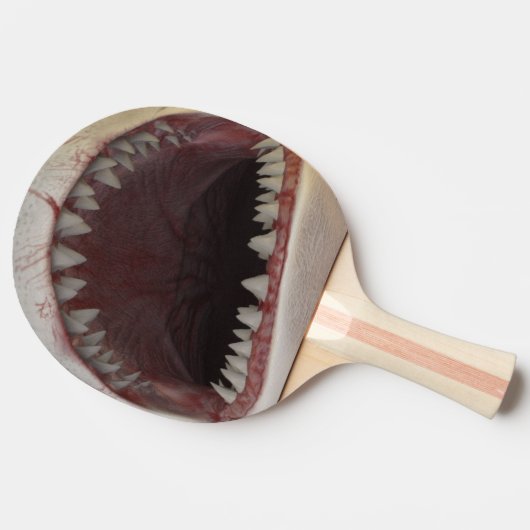 Witte haaimond tafeltennisbatje (Zijkant)