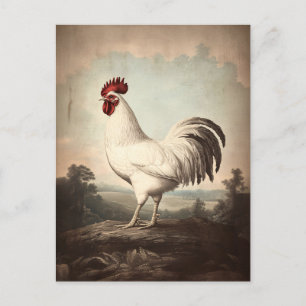 Witte Haan Illustratie  Geïnspireerd Briefkaart