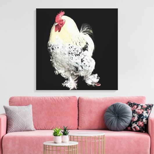 Witte haan met veren poten nr. 2 canvas afdruk (Insitu (Woonkamer))