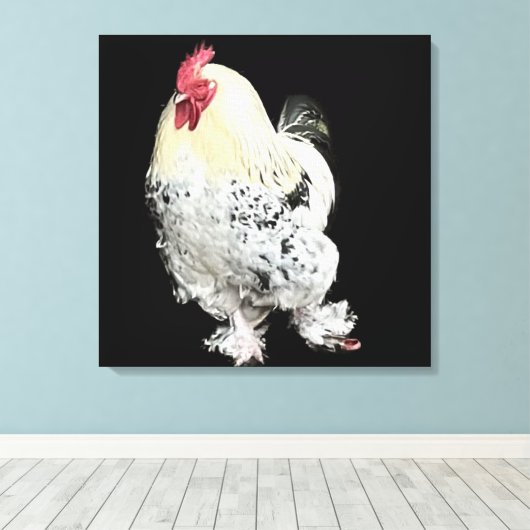 Witte haan met veren poten nr. 2 canvas afdruk (Insitu (Houten vloer))