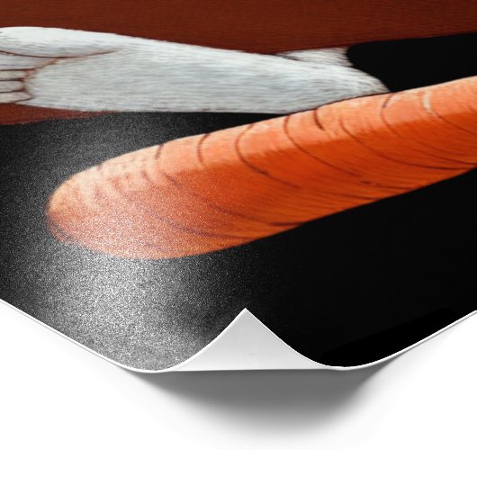 Witte haas gemakkelijk afgeleid door boeken! Poste Foto Afdruk (Hoek)