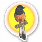 Witte hamervogel Sticker (Voorkant)