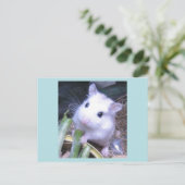 Witte hamster briefkaart (Staand voorkant)