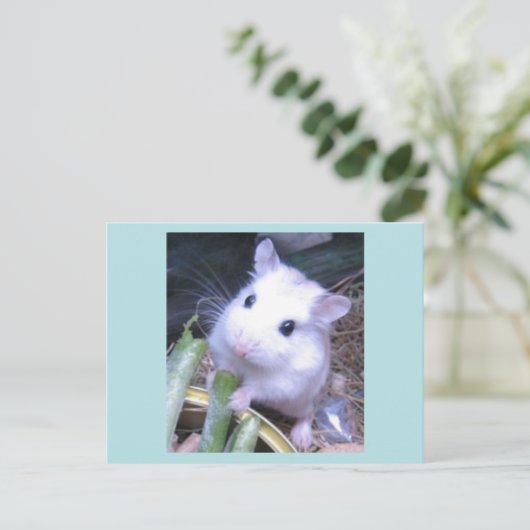 Witte hamster briefkaart (Staand voorkant)