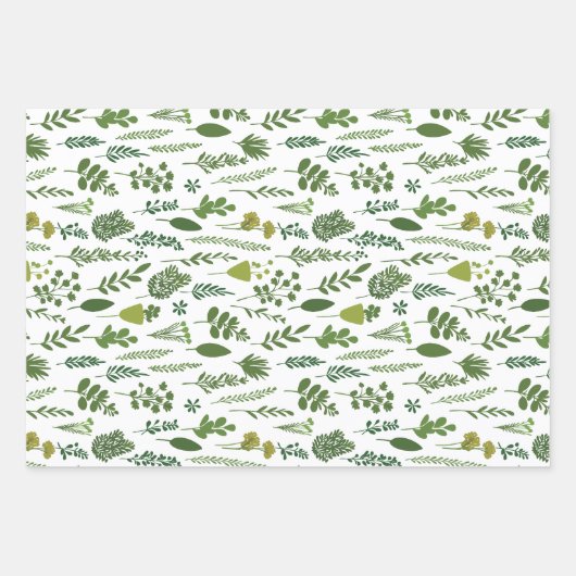 Witte hand-getrokken botanische inpakpapier vel (Voorkant 3)