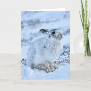 Witte haren in de sneeuwkaart kaart