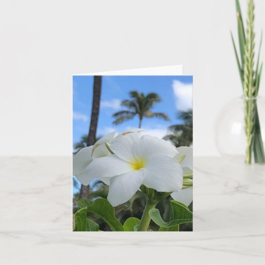 Witte Hawaiiaanse bloemen gevouwen Wenskaart Kaart (Voorkant)