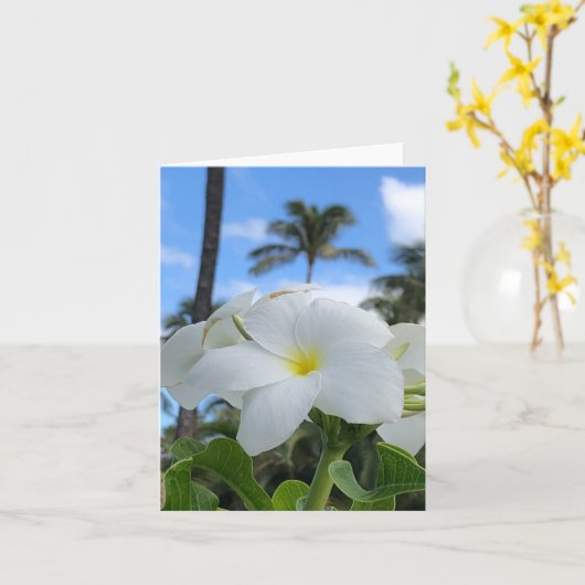 Witte Hawaiiaanse bloemen gevouwen Wenskaart Kaart (Gele Bloem)