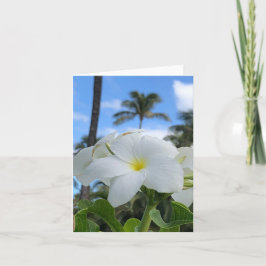 Witte Hawaiiaanse bloemen gevouwen Wenskaart Kaart