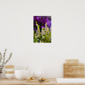 Witte heidebloem Poster (Keuken)