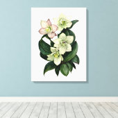 Witte hellebore botanische waterverf canvas kunst (Insitu (Houten vloer))