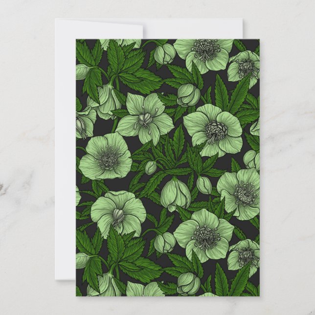 Witte Hellebores met bladeren (Voorkant)