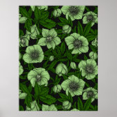 Witte Hellebores met bladeren Poster (Voorkant)
