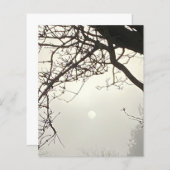 Witte hemel en zon dramatisch omlijst door bomen (Voorkant / Achterkant)