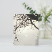 Witte hemel en zon dramatisch omlijst door bomen (Staand voorkant)