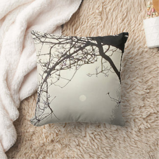 Witte hemel en zon dramatisch omlijst door bomen kussen