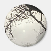 Witte hemel en zon dramatisch omlijst door bomen magneet (Voorkant)