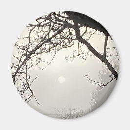 Witte hemel en zon dramatisch omlijst door bomen magneet