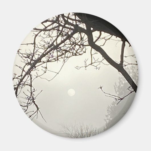 Witte hemel en zon dramatisch omlijst door bomen magneet (Voorkant)