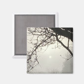 Witte hemel en zon dramatisch omlijst door bomen magneet (Voorkant / Achterkant)