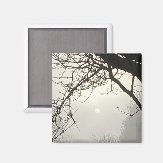 Witte hemel en zon dramatisch omlijst door bomen magneet (Voorkant / Achterkant)