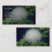 witte hengel (Calliandra inaequilatera) Visitekaartje (Voorkant / Achterkant)