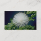 witte hengel (Calliandra inaequilatera) Visitekaartje (Achterkant)