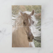 Witte hengst gloeit - Paard Wenskaart Kaart (Binnen)