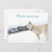 Witte herder in sneeuwBriefkaart Briefkaart (Voorkant / Achterkant)
