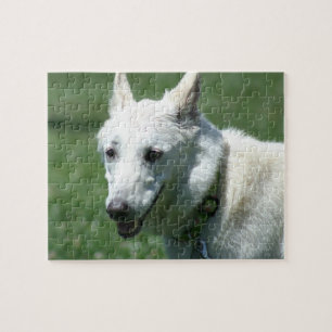 Witte herder legpuzzel