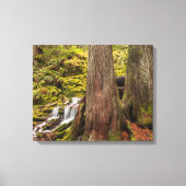 Witte Herfsten, Oregon Cascades, Oregon Canvas Afdruk (Voorkant)