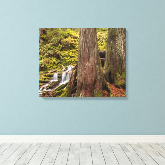 Witte Herfsten, Oregon Cascades, Oregon Canvas Afdruk (Insitu (Houten vloer))