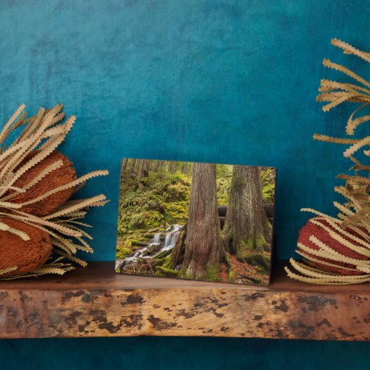 Witte Herfsten, Oregon Cascades, Oregon Fotoplaat (Zijkant)