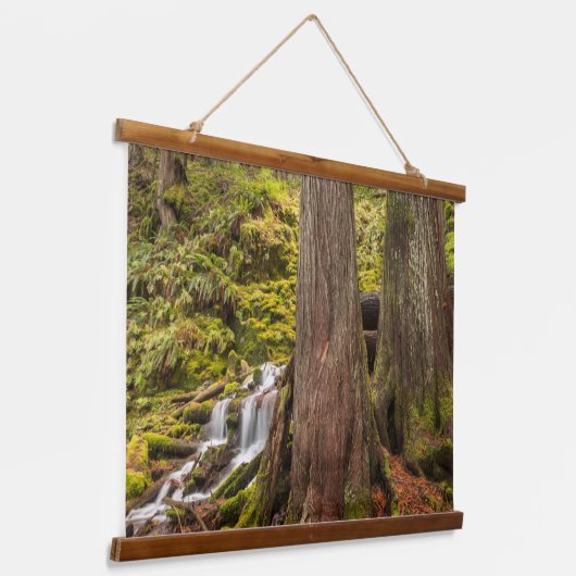 Witte Herfsten, Oregon Cascades, Oregon Hangend Wandkleed (Gebogen)