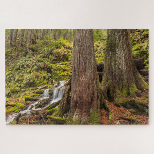 Witte Herfsten, Oregon Cascades, Oregon Legpuzzel