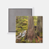 Witte Herfsten, Oregon Cascades, Oregon Magneet (Voorkant / Achterkant)