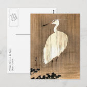 Witte Heron in de Regen Briefkaart (Voorkant / Achterkant)