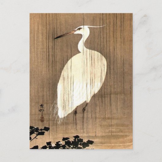 Witte Heron in de Regen Briefkaart (Voorkant)