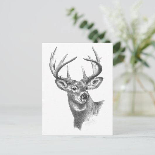 witte hert 84 briefkaart (Staand voorkant)