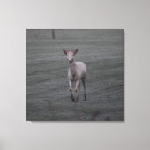 witte herten canvas afdruk (Voorkant)