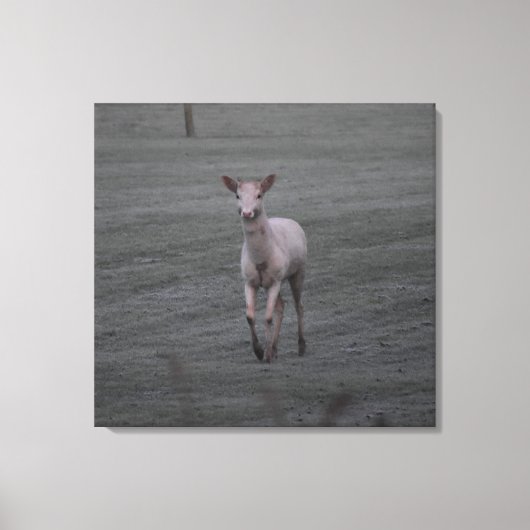 witte herten canvas afdruk (Voorkant)