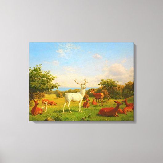 Witte herten open veld natuur wildlife canvas afdruk (Voorkant)