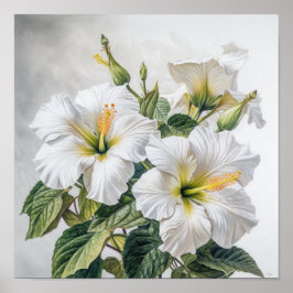 Witte Hibiscus Bloem Kunstprint Poster