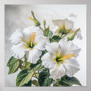 Witte Hibiscus Bloem Kunstprint Poster